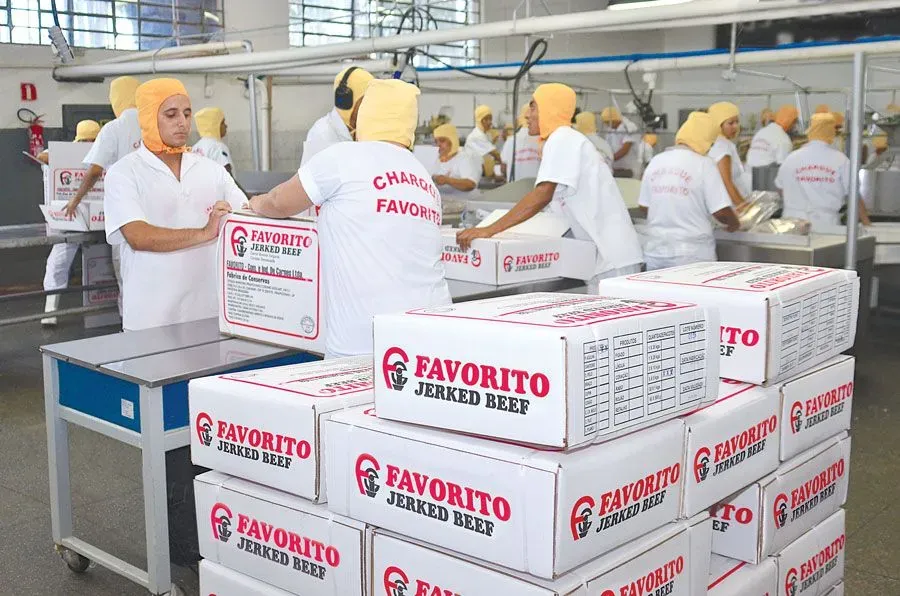Montagem das caixas para expedição