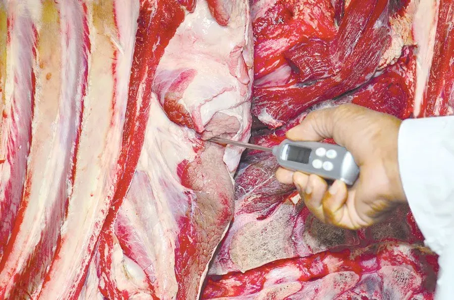 Controle de temperatura