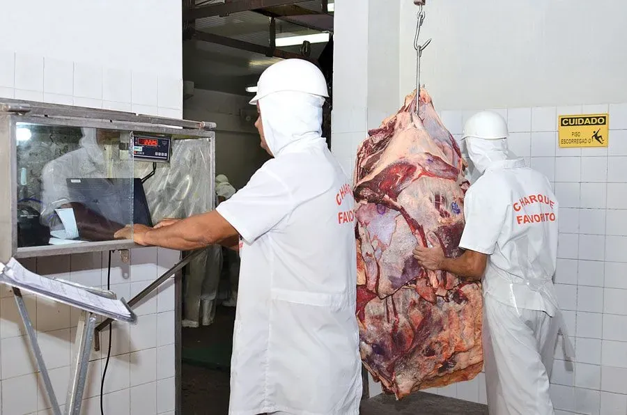 Recebimento e inspeção