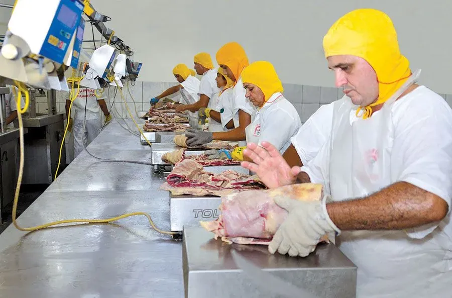 Equipe na linha de corte da fábrica