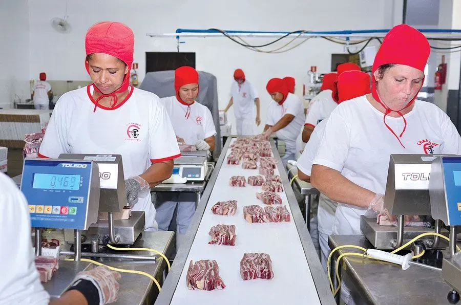 Equipe de embalagem na linha de pesagem